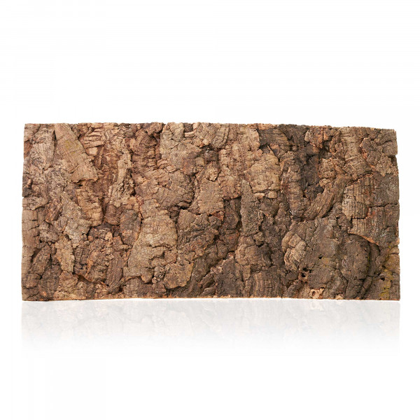 Korkrückwand aus Eichenkork | 60x30cm