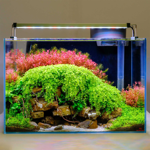 Twinstar B-Line III | Aquarium RGB LED