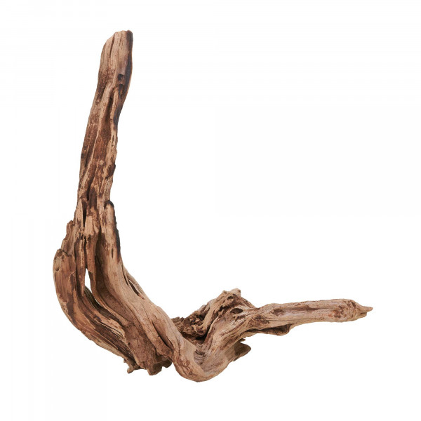 Flusswurzel, Driftwood | Einzelstück Premium 25-40cm